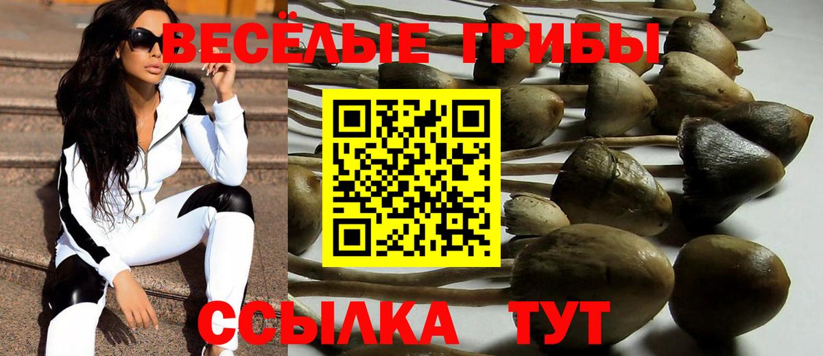 Псилоцибиновые грибы MAGIC MUSHROOMS Щёлково