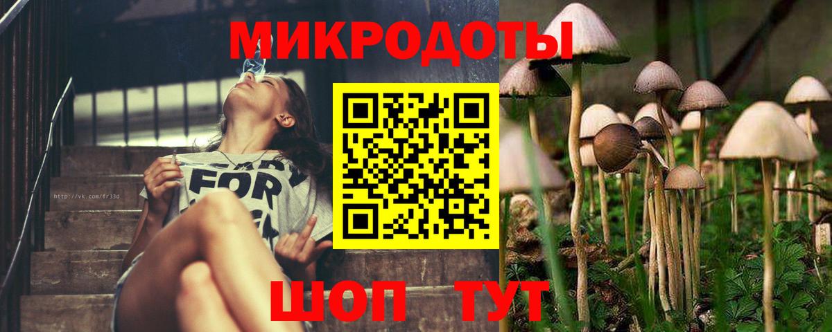 Щёлково  Галлюциногенные грибы GOLDEN TEACHER  Вход с VPN 